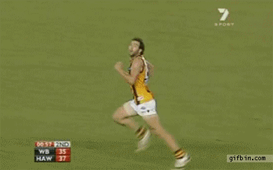 28 Random Gifs To Start Your Day