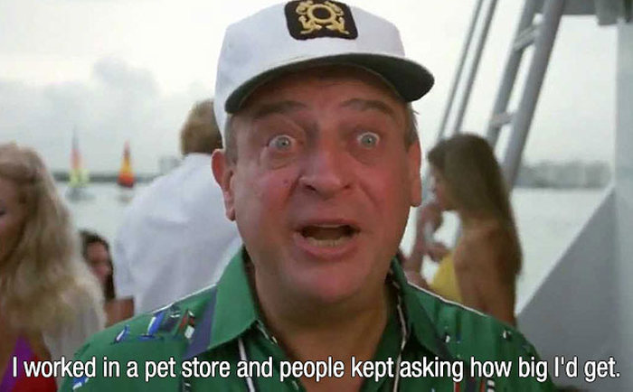 rodney dangerfield caddyshack boat - I worked in a pet store and people kept asking how big I'd get.
