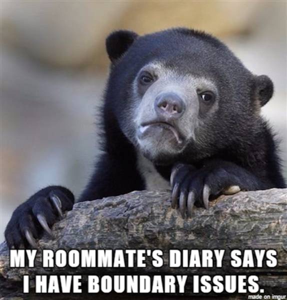 daily funny - My Roommate'S Diary Says I Have Boundary Issues. made on imgur