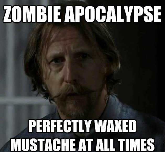 The 20 Funniest The Walking Dead Memes