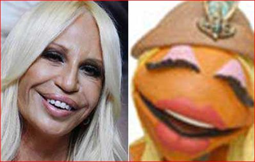 Donatella Versace / Janice the muppet