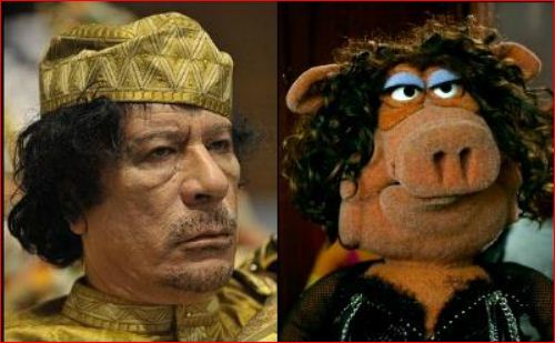 Moammar Gaddafi / Miss Poogy 