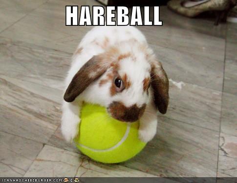 Hareball