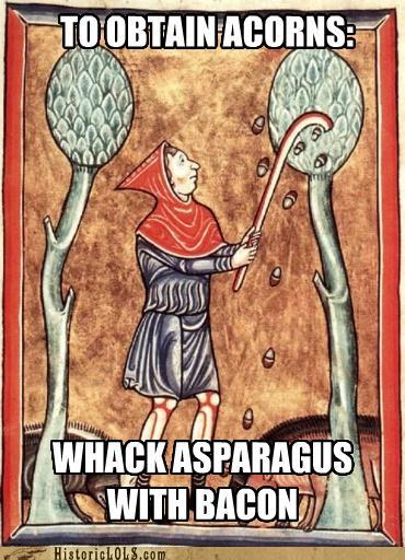 medieval manuscript gif - To Obtain Acorns Misi Whackasparagus With Bacon HistoricLOLS.com