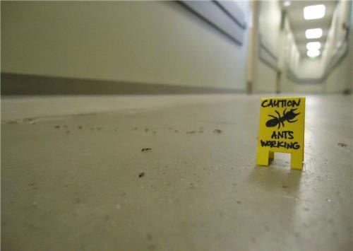 random pic ants at work sign - Caution Ants Working