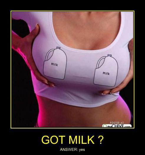 random pic got milk t shirt boobs - Milk O Posted At Cchive... Got Milk? Answer yes