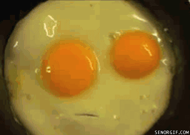 random pic eggs gif - Senorgif.Com