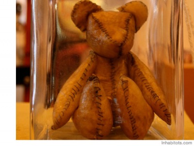 Placenta Teddy Bear