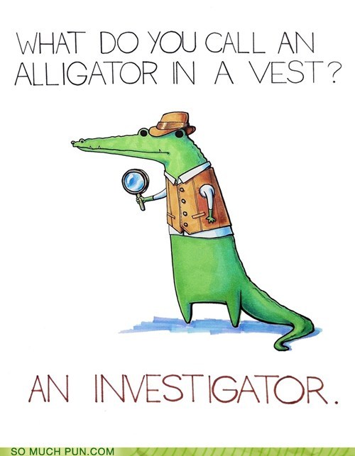 do you call an alligator - What Do You Call An Alligator In A Vest? An Investigator. So Much Pun.Com