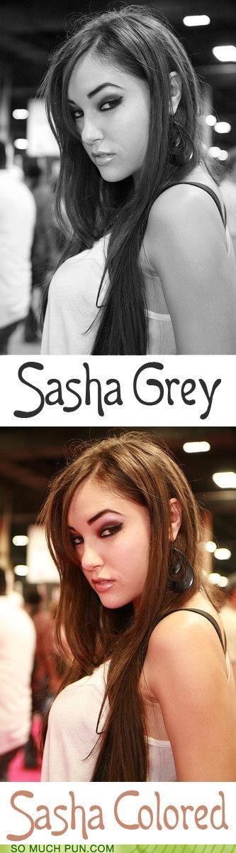 beauty - Sasha Grey Sasha Colored So Much Pun.Com