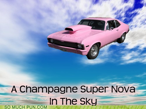 oasis pun - A Champagne Super Nova In The Sky So Much Pun.Com