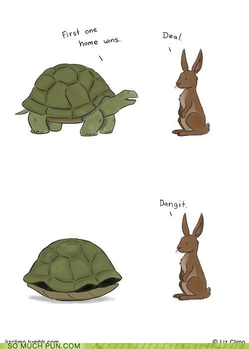 hare vs tortoise - First one home wins Deal Dangit. Commuch Pon.Com Clima