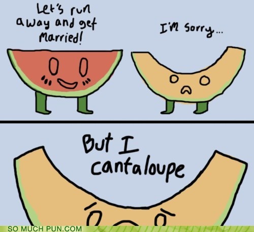 watermelon and melon joke - Let's run away and get Married! I'm sorry... 0 0 But I, Cantaloupe Oro So Much Pun.Com