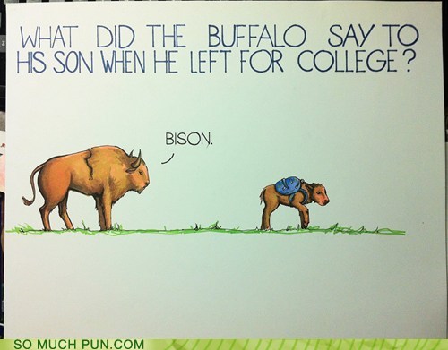 did the buffalo say to his son - What Did The Buffalo Say To His Son When He Left For College ? Bison. So Much Pun.Com