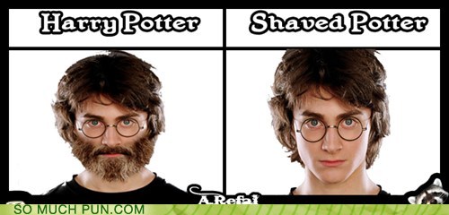 essaouira - Harry Potter Shaved Potter So Much Pun.Com
