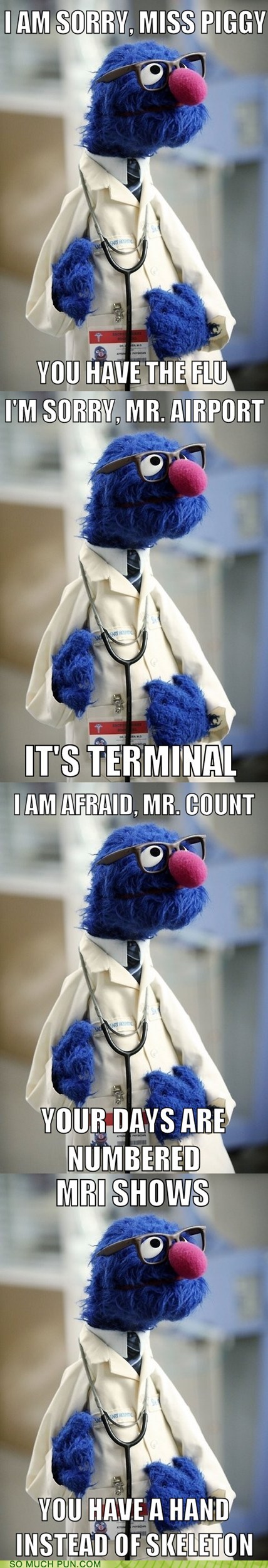grover pun - I Am Sorry, Miss Piggy You Have The Flu I'M Sorry, Mr. Airport It'S Terminal I Am Afraid, Mr. Count Your Days Are Numbered Mri Shows You Have A Hand Instead Of Skeleton So Much Pun.Com