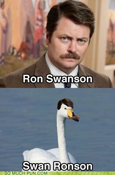 bandama caldera - Ron Swanson Swan Ronson So Much Pun.Com