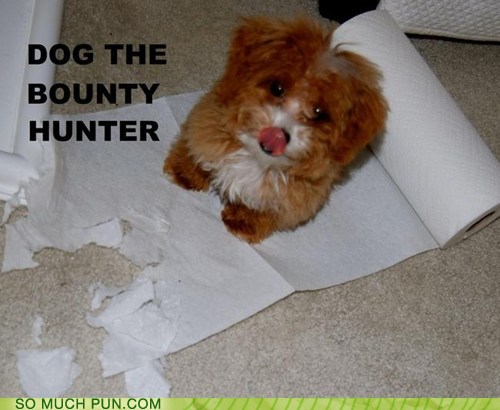 dog the bounty hunter paper towels - Dog The Bounty Hunter So Much Pun.Com