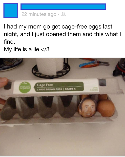 pun mom faceboon fail meme - 22 minutes ago Thad my mom go get cagefree eggs last night, and I just opened them and this what I find. My life is a lie