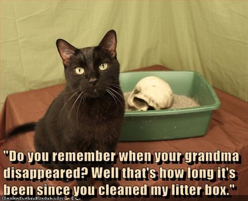 cat with skull in litter box - "Do you remember when your grandma disappeared? Well that's how long it's been since you cleaned my litter box." 10 Mnhas B UNGEKUOm de