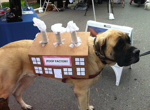 poop factory dog costume - Poop Factory