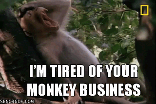 Giffitty Giffitty Gif