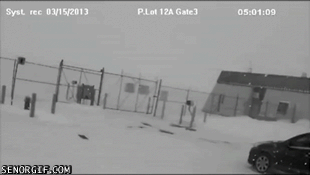 Giffitty Giffitty Gif