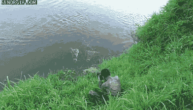 Giffitty Giffitty Gif