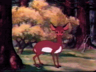 Fifty Giffys Plus Three