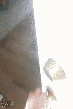 Fifty Giffys Plus Three