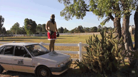 Fifty Giffys Plus Three