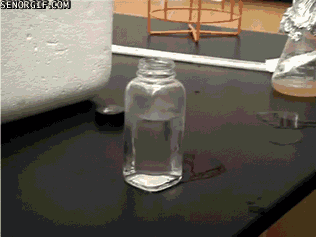 Gif Giffitty Gif Gifs