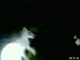 Gif Giffitty Gif Gifs