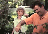 Gif Giffitty Gif Gifs