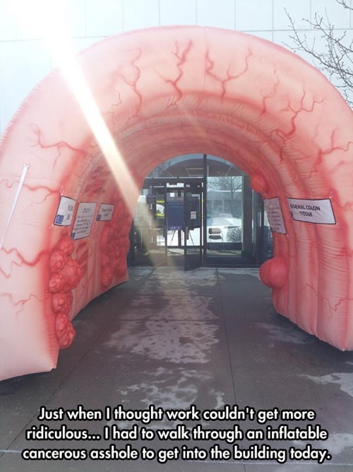 just when i thought it couldn t get any better - Just when I thought work couldn't get more ridiculous... I had to walk through an inflatable cancerous asshole to get into the building today.