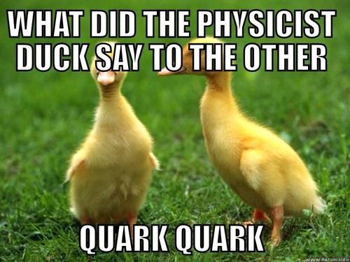 baby ducks - What Did The Physicist Duck Say To The Other Quark Quark