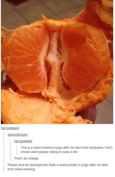 don t think marijuana is bad drug - harryedward 5secsoftroyler harryedward This is a weed smokers lungs after he died from marijuana Dont smoke weed please reblog to save a life That's an orange Please dont be disrespectful thats a weed smoker's lungs aft