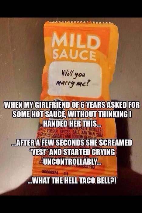 taco bell funny - Mild Sauce Will you marry me? When My Girlfriend Of 6 Years Asked For Some Hot Sauce, Without Thinking I Handed Her This... Tortutasie Distilled White Vinegar, Spices, Salt, Xanthan Vissum Sorbate And Sodium Benzoals ..After A Few Second