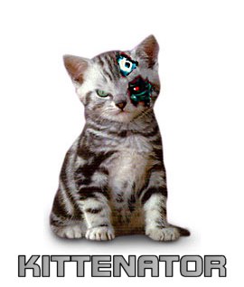 The images formerly known as Folder