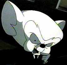 The images formerly known as Folder