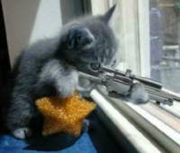 The images formerly known as Folder