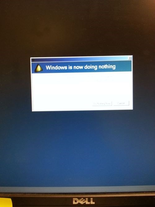 windows is now doing nothing - Windows is now doing nothing Dull