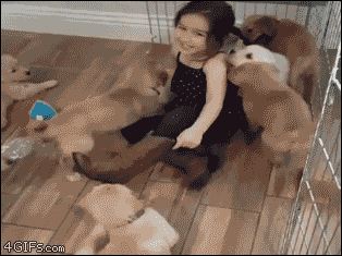 girl with puppies gif - 4 Gifs.com