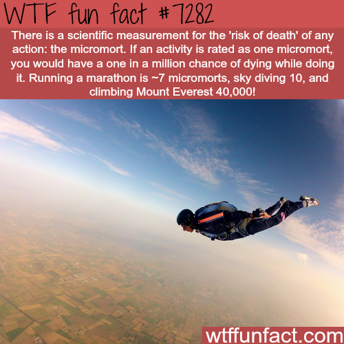 21 weird facts