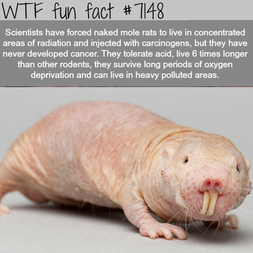 21 weird facts