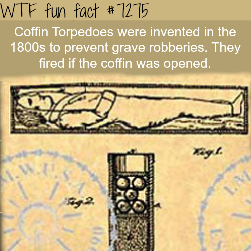 21 weird facts