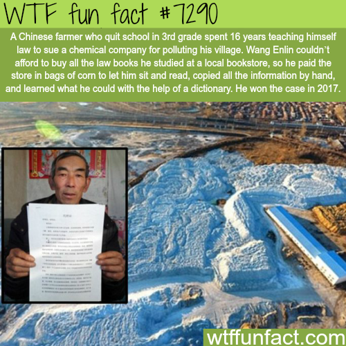 21 weird facts