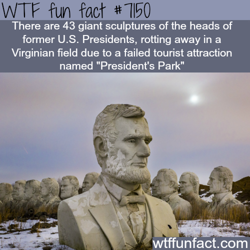 21 weird facts