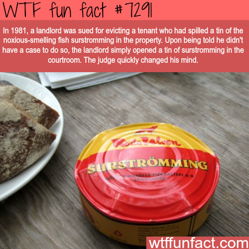 21 weird facts