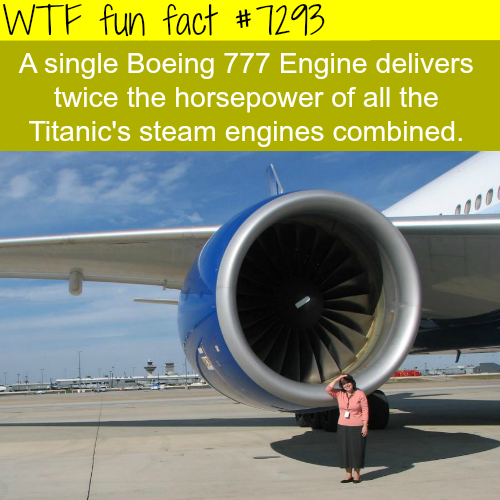 21 weird facts